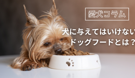 犬に与えてはいけないドッグフードとは？